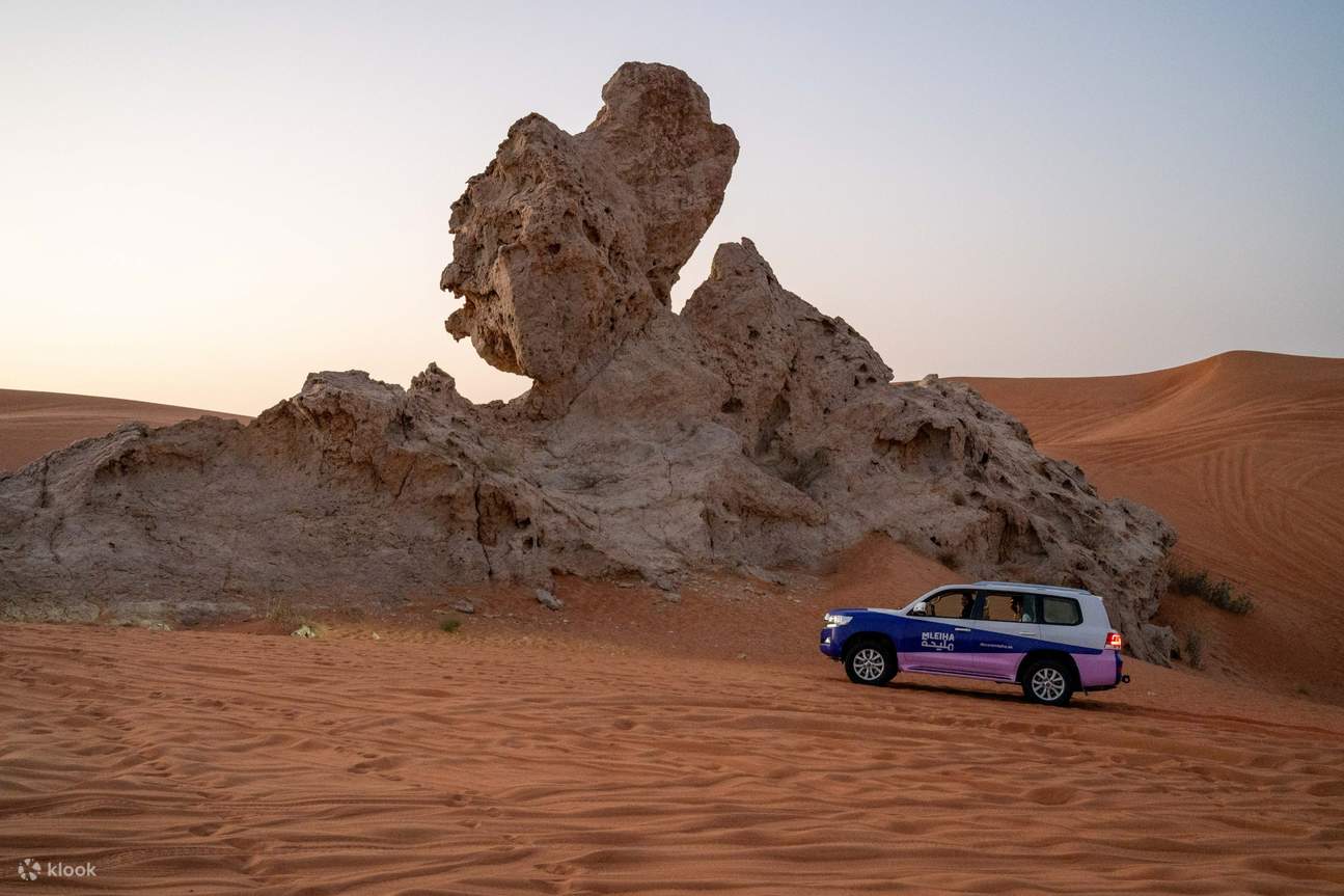 evening fossil Desert Safari